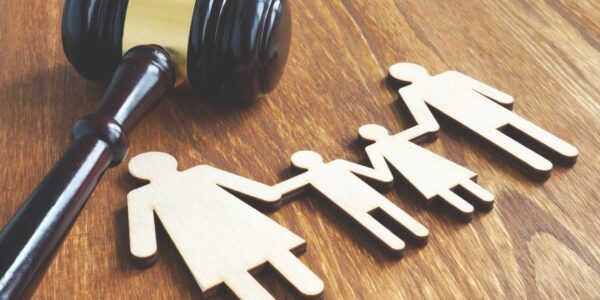 The Evolving Landscape of Family Law: Modern Trends and Changes